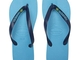 Havaianas Logo Brasil