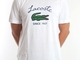 T- shirt masc. Lacoste TH137521