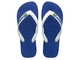 Havaianas Brasil Logo