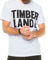 Camiseta Timberland Max Logo V16